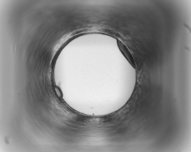 X0000100190152200806271627
