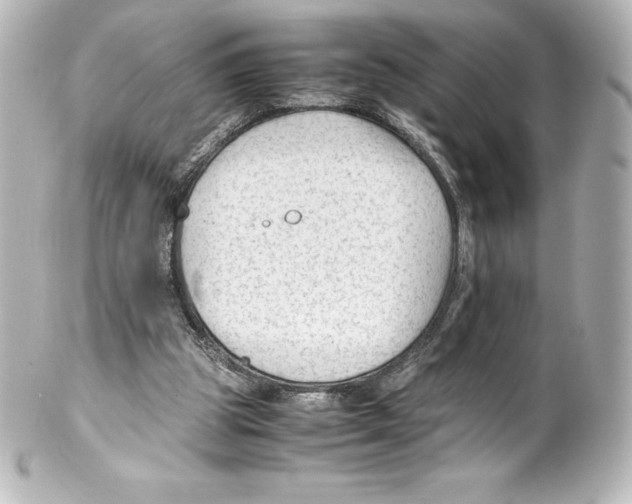 X0000100190153200806271627