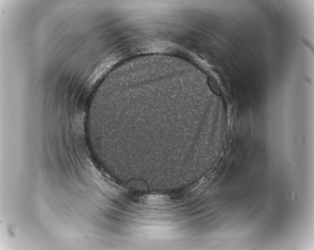 X0000100190154200806271627