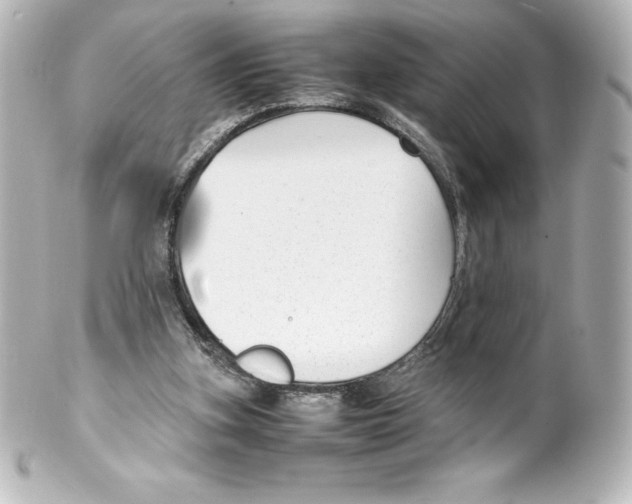 X0000100190155200806271627