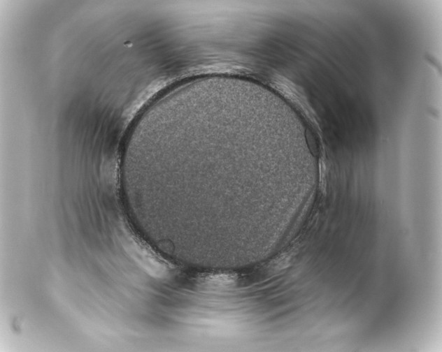X0000100190156200806271627