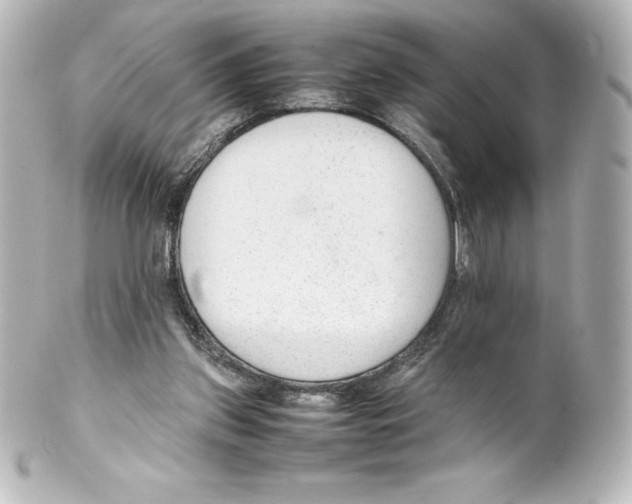 X0000100190157200806271627