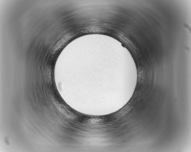 X0000100190158200806271627