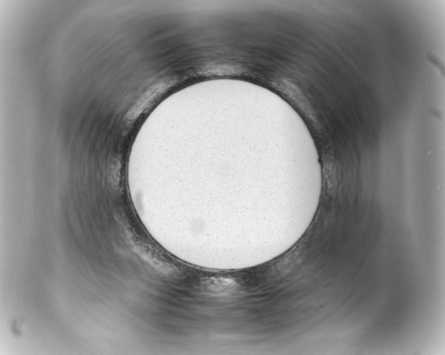 X0000100190159200806271627