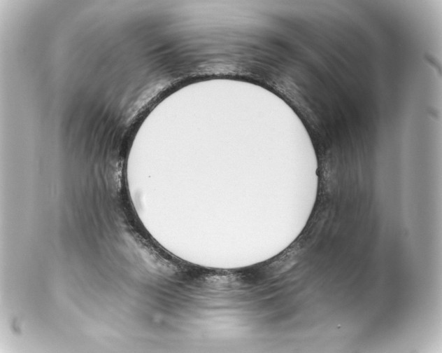 X0000100190160200806271627