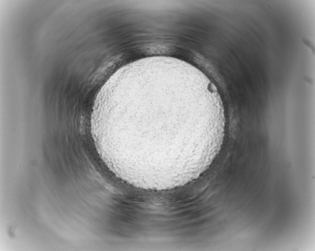 X0000100190161200806271627