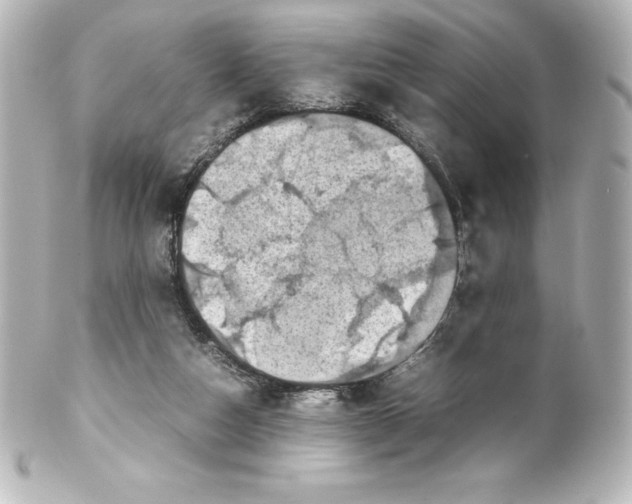 X0000100190162200806271627