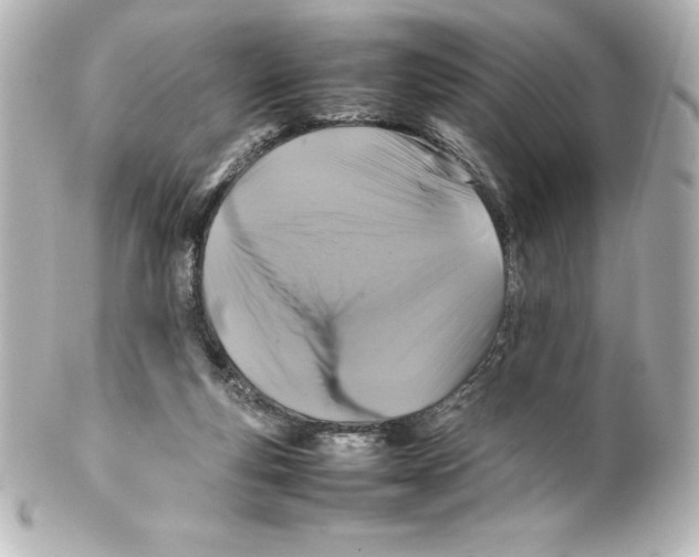 X0000100190163200806271627