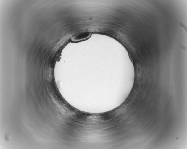 X0000100190164200806271627