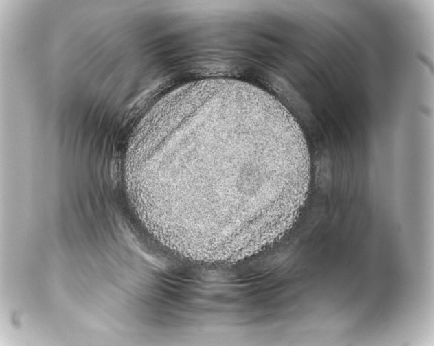 X0000100190165200806271627