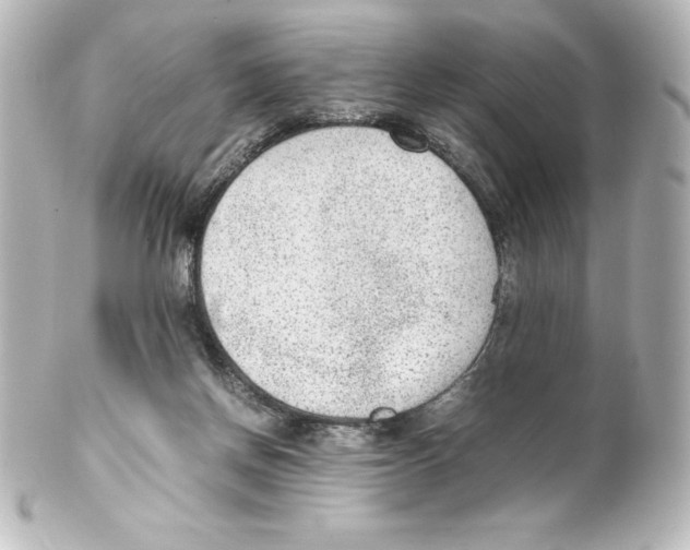 X0000100190166200806271627