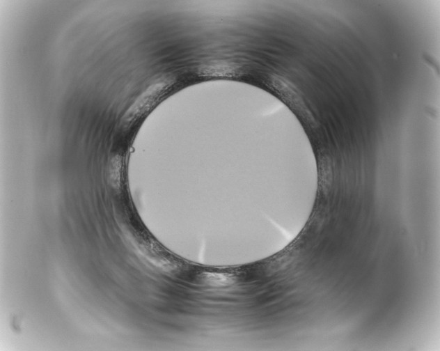 X0000100190167200806271627
