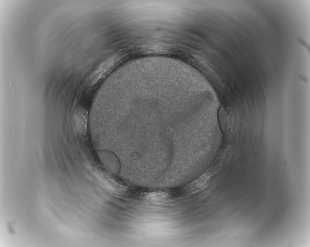 X0000100190168200806271627