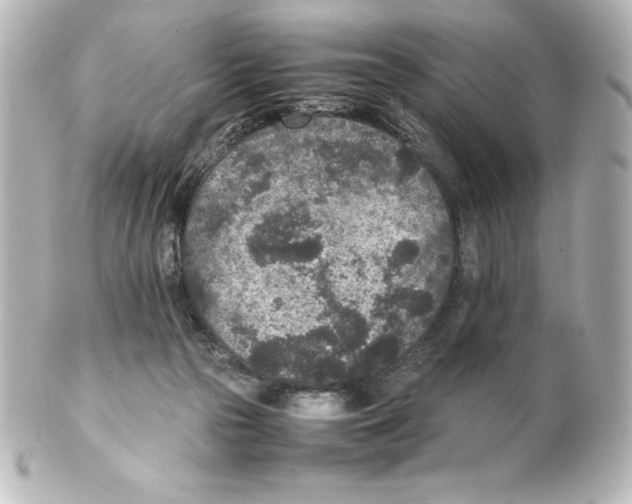 X0000100190169200806271627