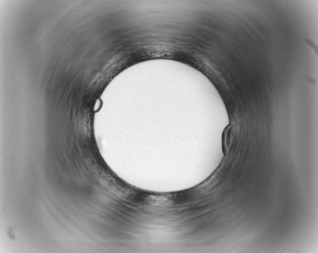 X0000100190170200806271627