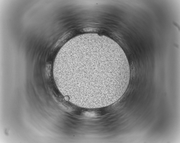 X0000100190171200806271627