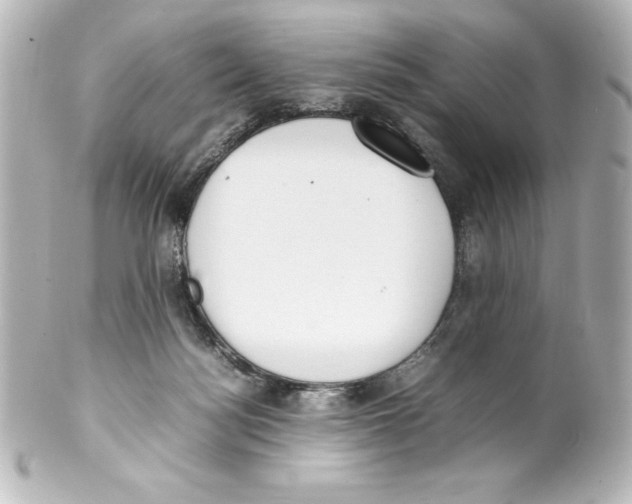 X0000100190172200806271627