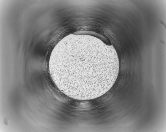 X0000100190173200806271627