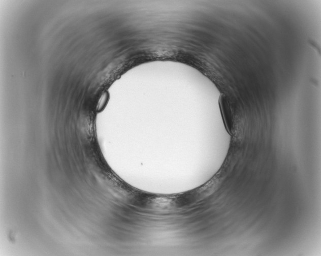 X0000100190176200806271627