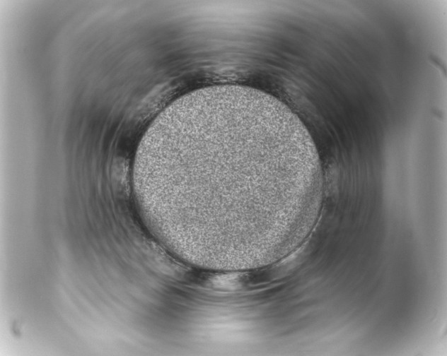 X0000100190178200806271627