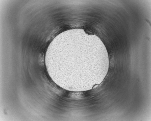 X0000100190179200806271627