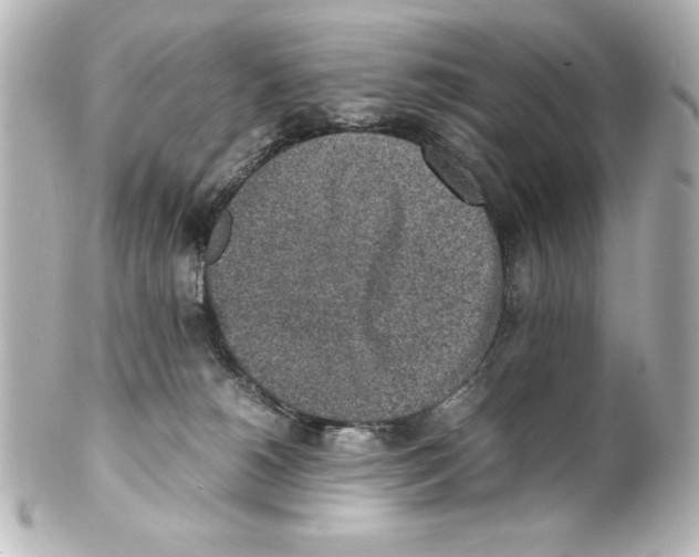 X0000100190180200806271627