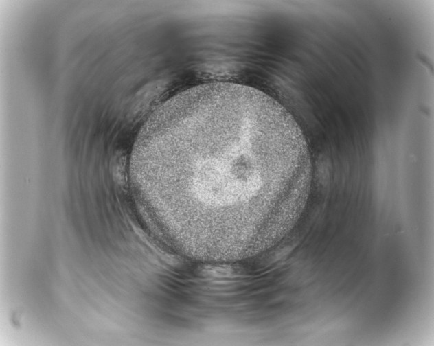 X0000100190181200806271627