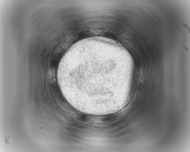 X0000100190182200806271627