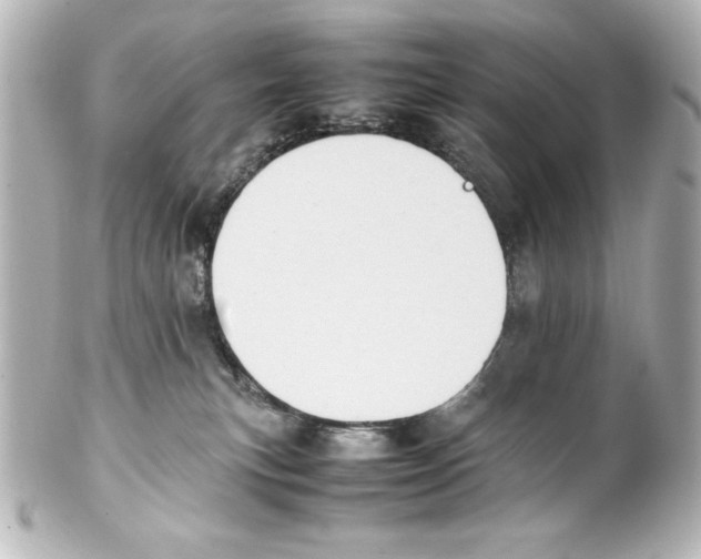 X0000100190183200806271627