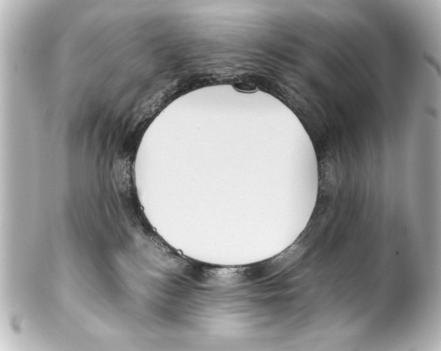 X0000100190184200806271627