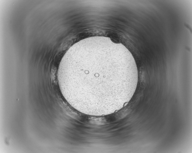 X0000100190185200806271627