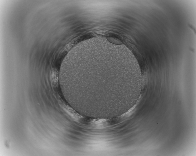 X0000100190186200806271627