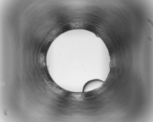 X0000100190187200806271627