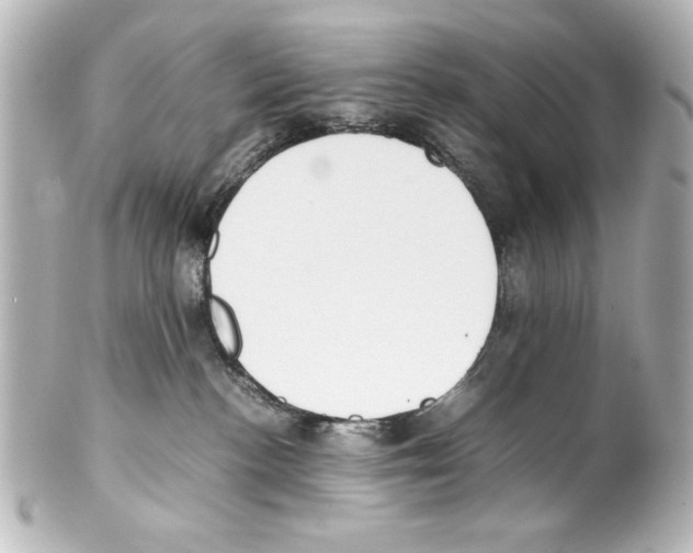 X0000100190188200806271627