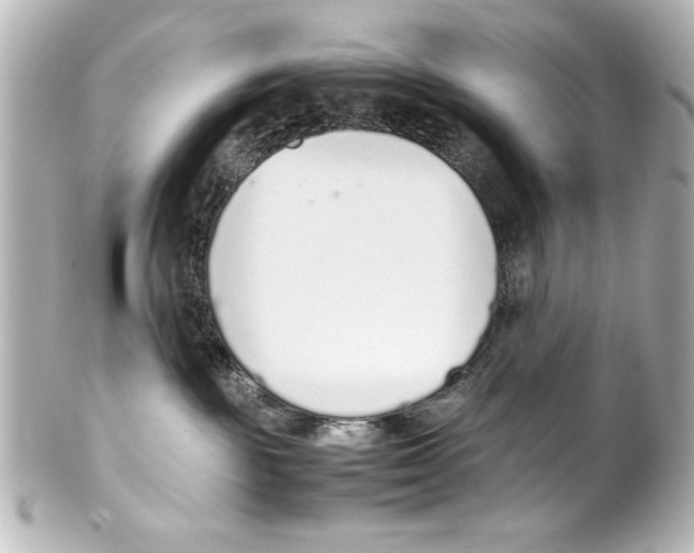 X0000100190189200806271627