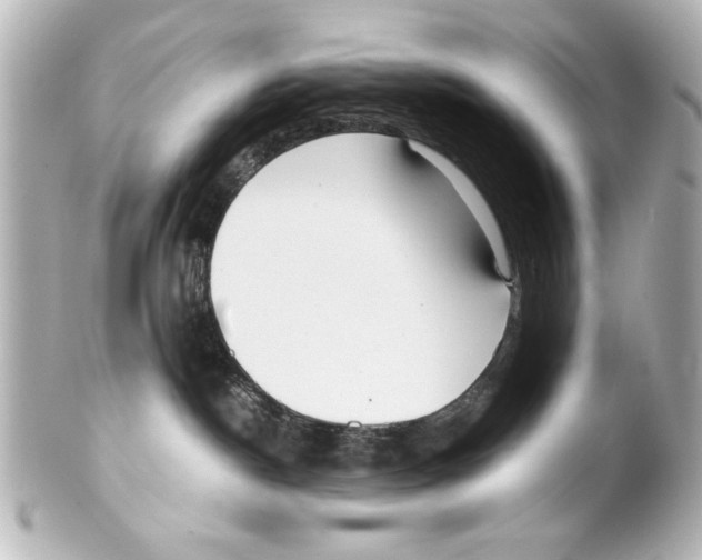X0000100190190200806271627