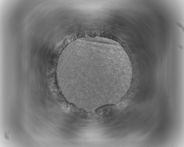 X0000100190192200806271627