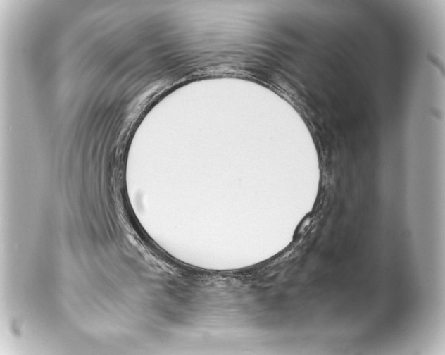 X0000100190193200806271627