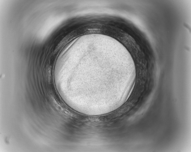 X0000100190194200806271627