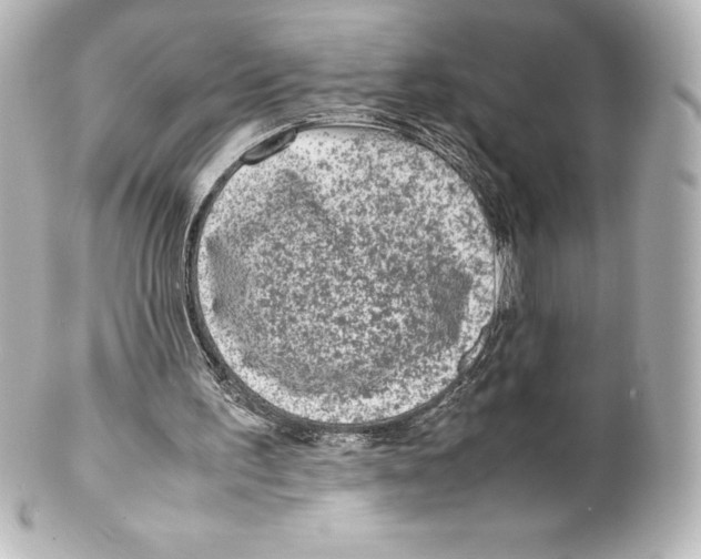 X0000100190195200806271627