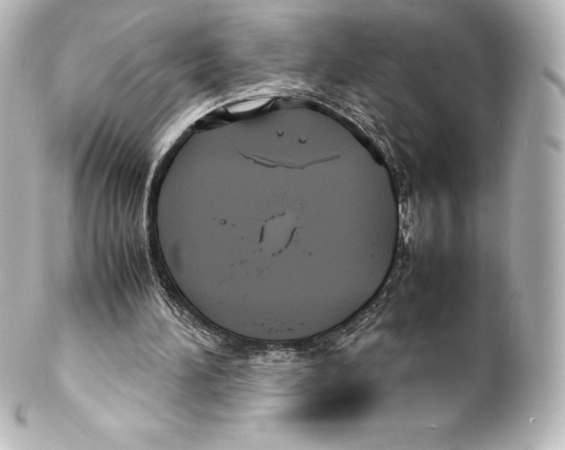 X0000100190196200806271627