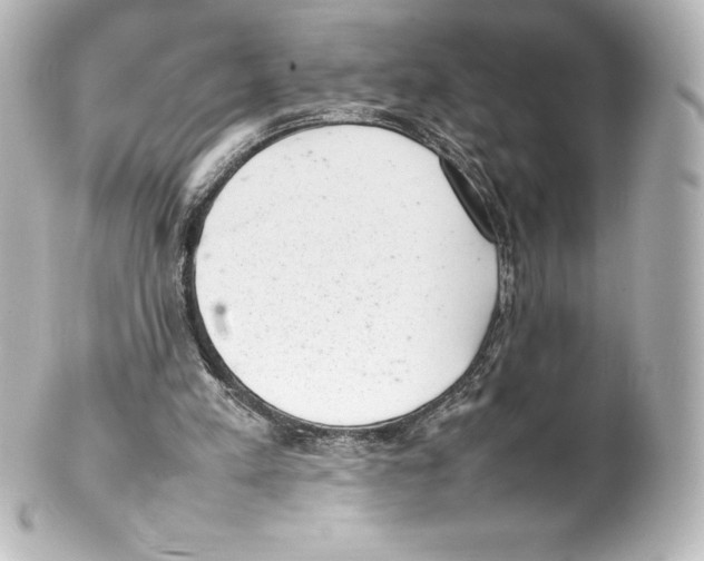 X0000100190197200806271627