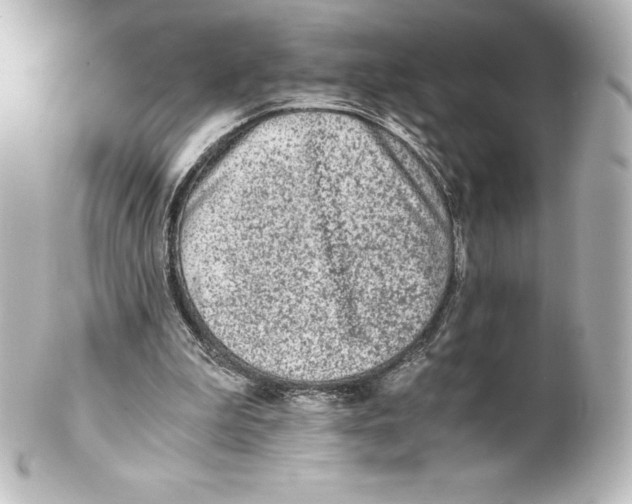 X0000100190199200806271627
