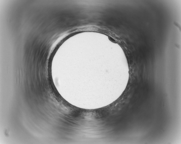 X0000100190200200806271627