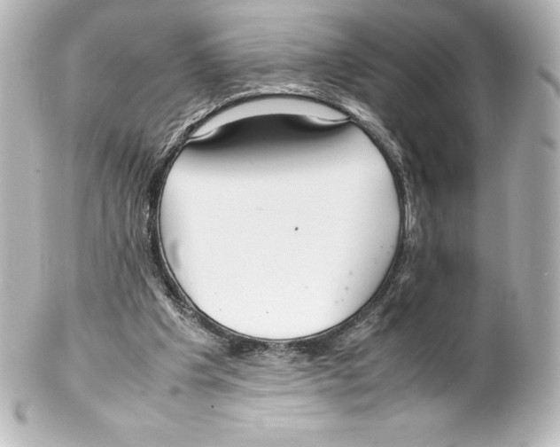 X0000100190201200806271627