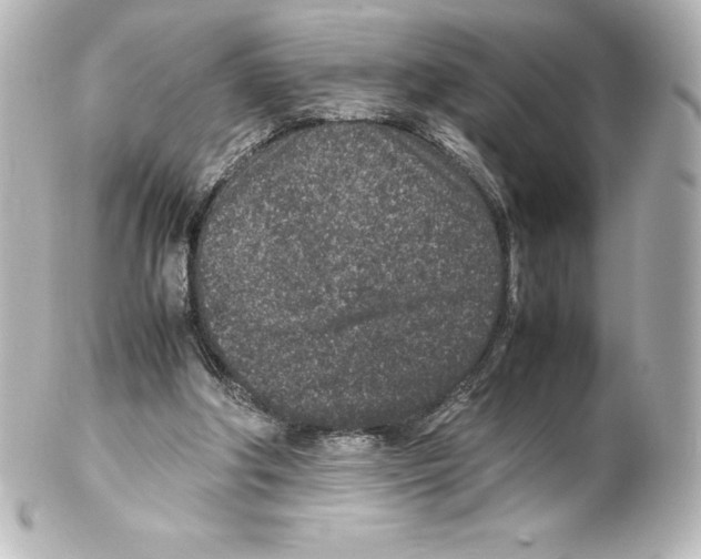X0000100190202200806271627