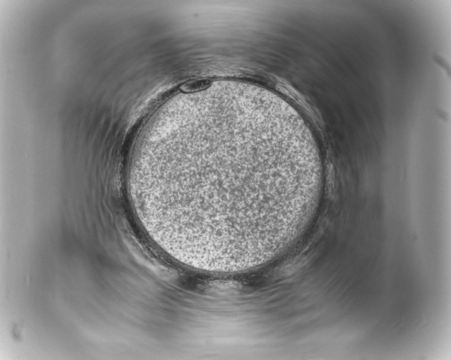 X0000100190203200806271627
