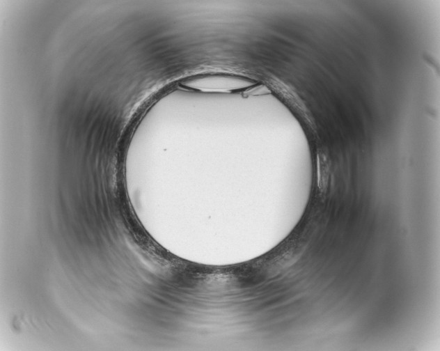 X0000100190204200806271627