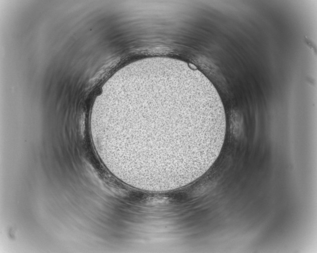 X0000100190206200806271626