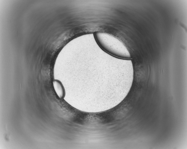 X0000100190207200806271626